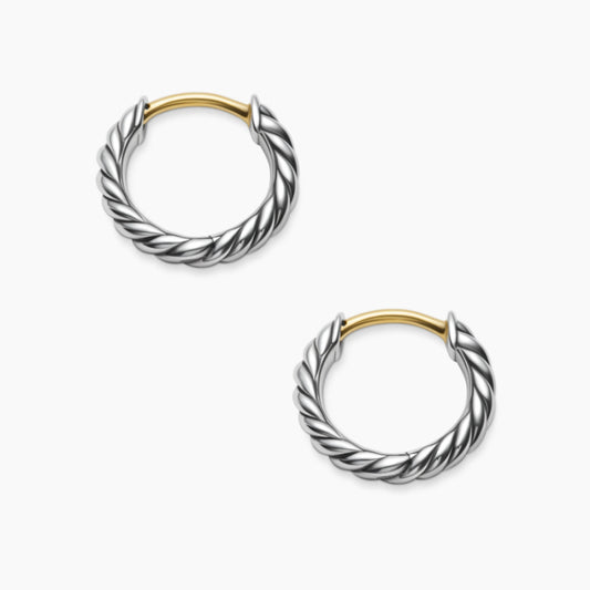 CXLJ15 /earrings